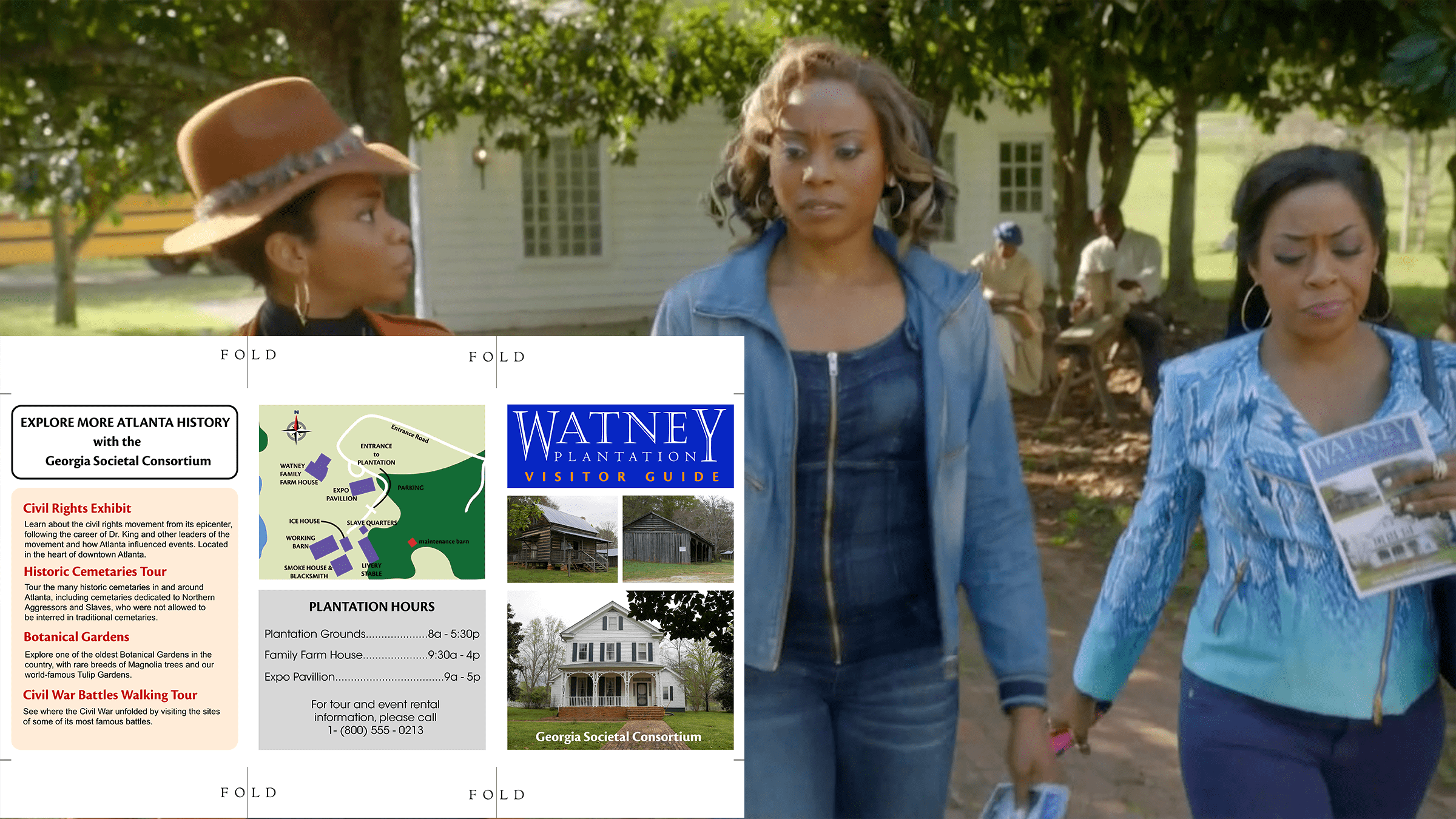 Survivor's Remorse - Plantation Tri-Fold
